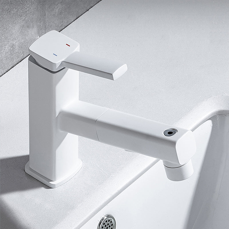 Single Handle Pull-Out Kitchen Sink Faucet with Rotating Spout