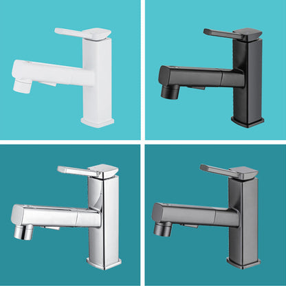 Single Handle Pull-Out Kitchen Sink Faucet with Rotating Spout