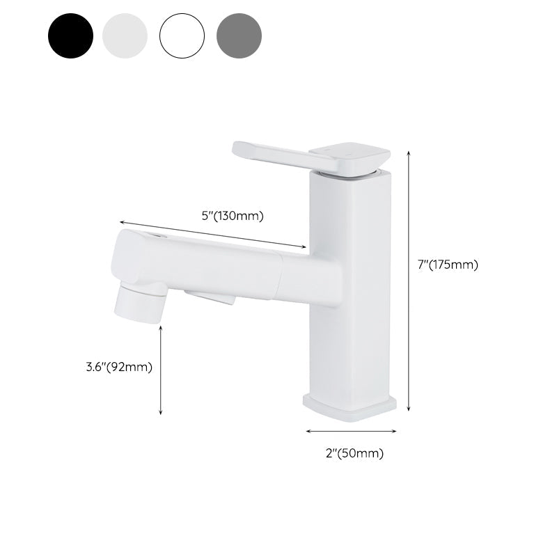Single Handle Pull-Out Kitchen Sink Faucet with Rotating Spout