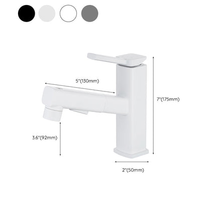 Single Handle Pull-Out Kitchen Sink Faucet with Rotating Spout