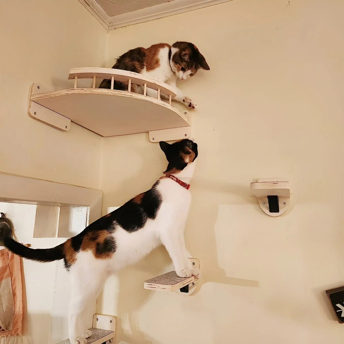 Cat Tower Wall Shelf with Scratch Pad