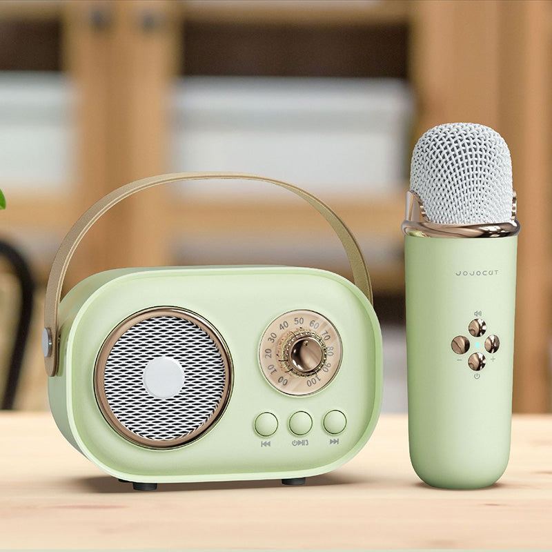 Portable Karaoke System & Wireless Bluetooth Speaker