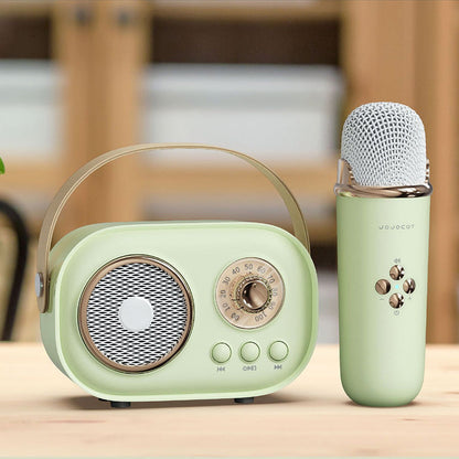 Portable Karaoke System & Wireless Bluetooth Speaker