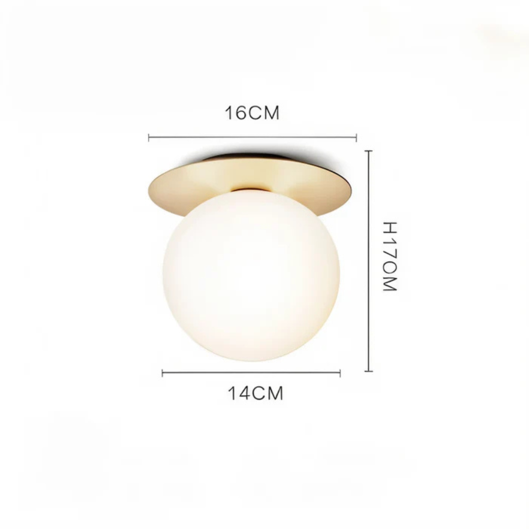 Premium LED Ceiling and Wall Light Fixture