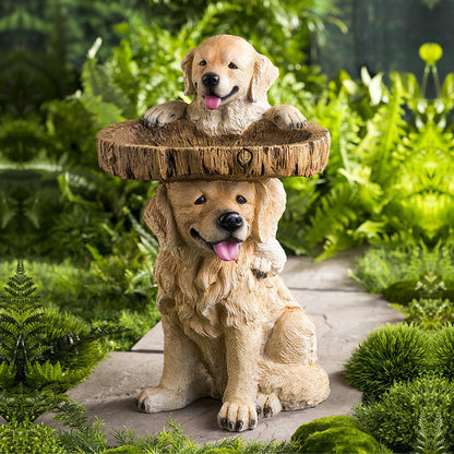 Pet Hair Food Feeder Container