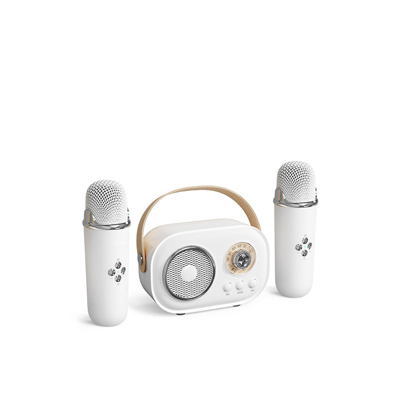 Portable Karaoke System & Wireless Bluetooth Speaker