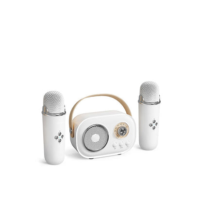 Portable Karaoke System & Wireless Bluetooth Speaker