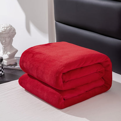 Soft Gray Plush Blanket for All Seasons