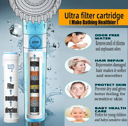 Luxury Spa Shower Head with Detachable Handle