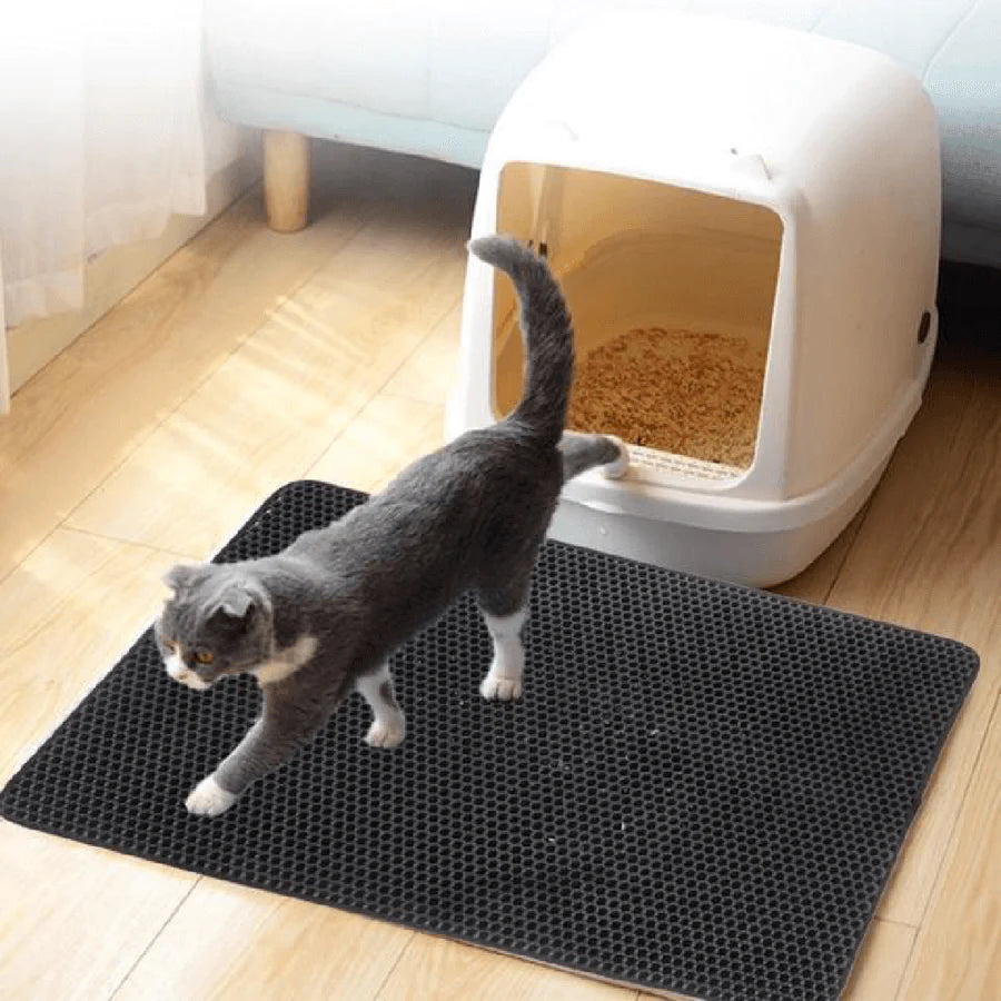 Odor Free Cat Litter Box Solution