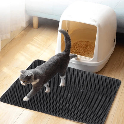 Odor Free Cat Litter Box Solution