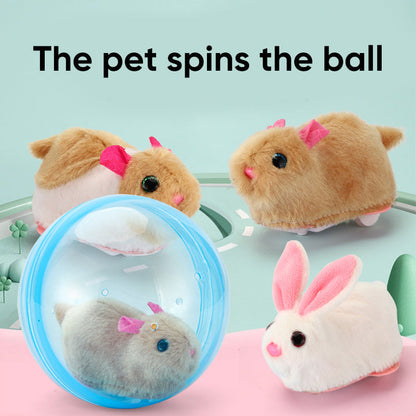 Fun Pet Exercise Ball Toy