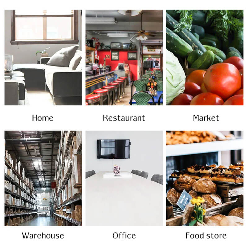 Easy Catch Auto Mouse Trap with Repeat Cycle - Yeezlab