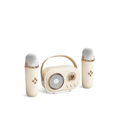 Portable Karaoke System & Wireless Bluetooth Speaker