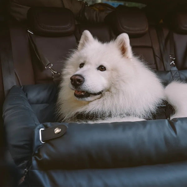 Premium Pet Car Bed & Back Seat Cover