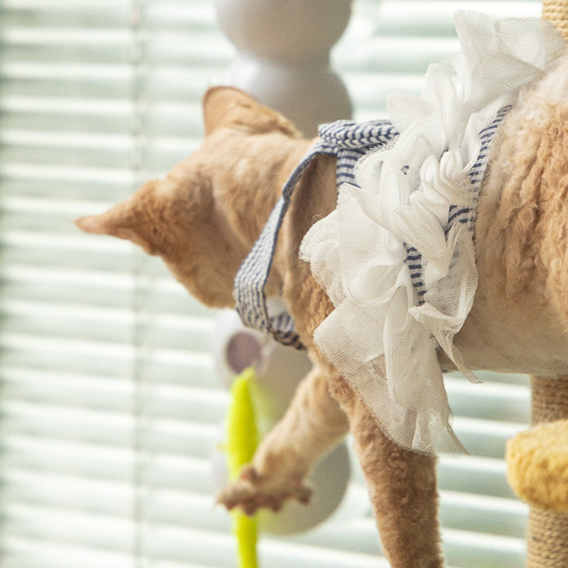 Fun Electronic Kitty Toy Worm