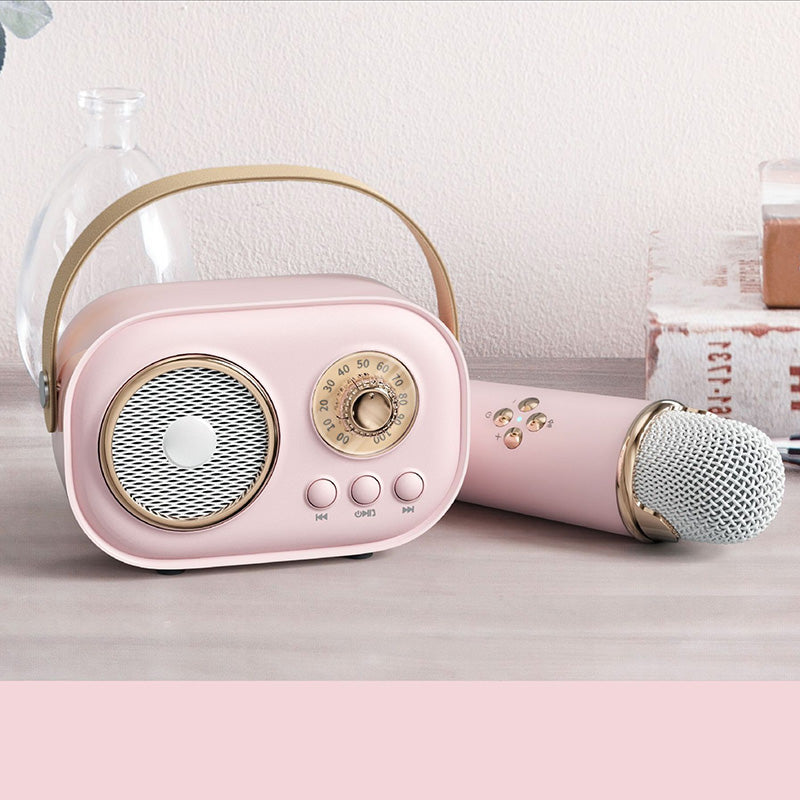 Portable Karaoke System & Wireless Bluetooth Speaker