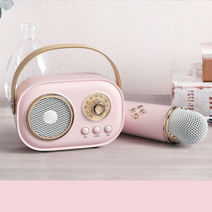 Portable Karaoke System & Wireless Bluetooth Speaker