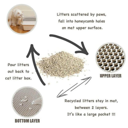 Odor Free Cat Litter Box Solution