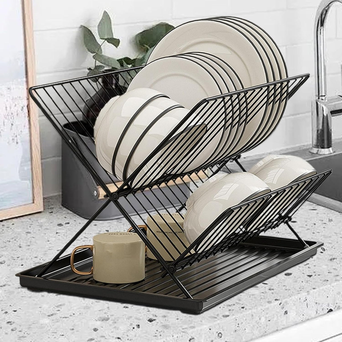 Compact 2-Tier Dish Rack with Removable Tray
