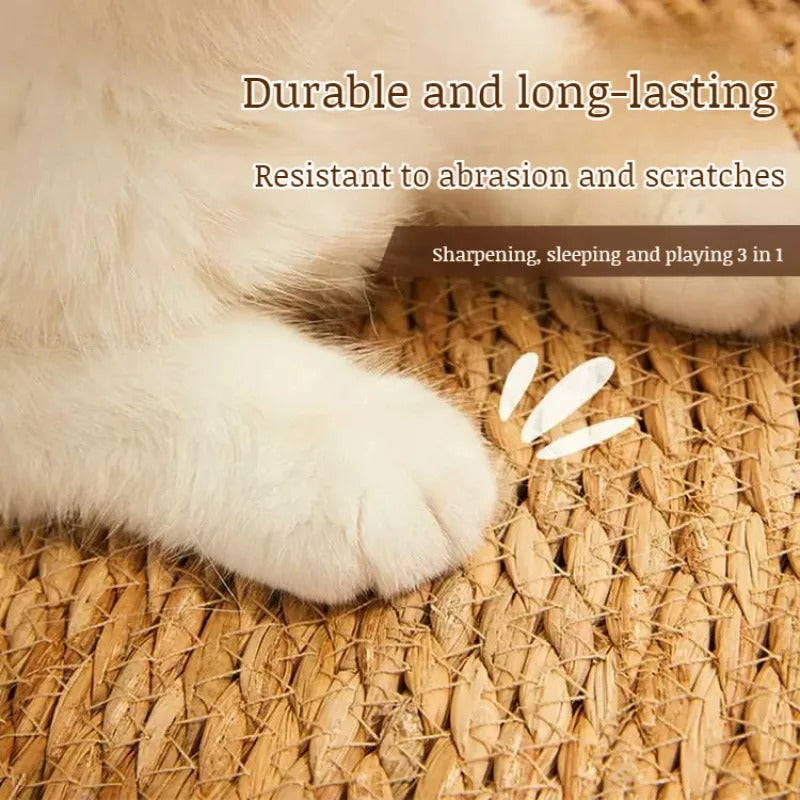 Cat Scratch Durable Matte Pad