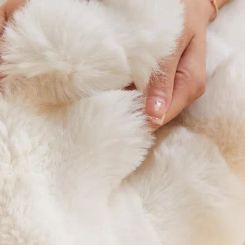 Plush Fuzzy Throw Blanket