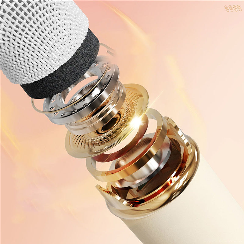 Portable Karaoke System & Wireless Bluetooth Speaker