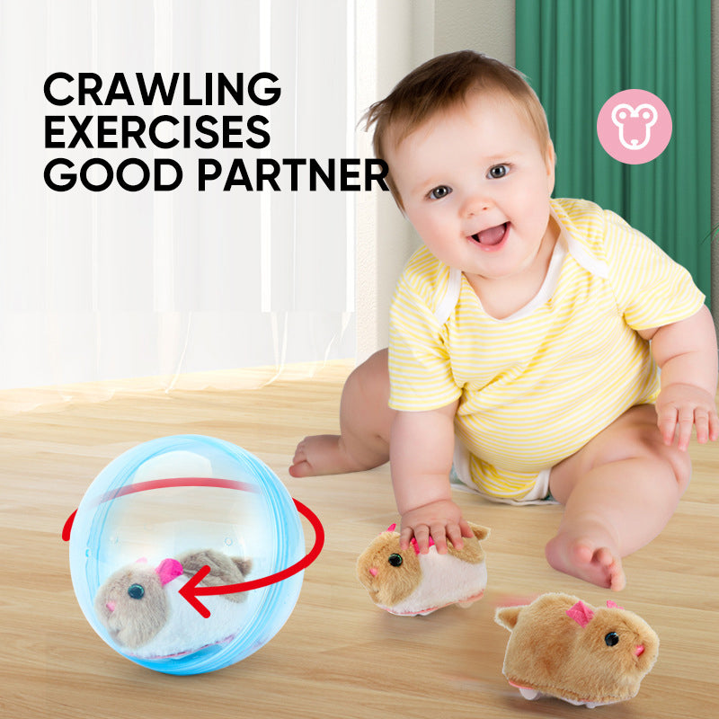 Fun Pet Exercise Ball Toy