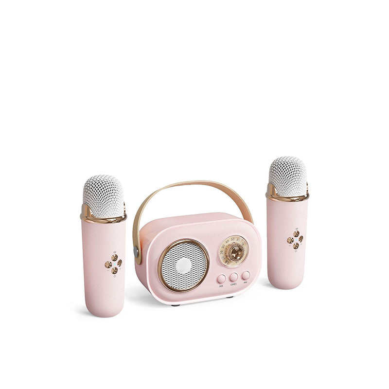 Portable Karaoke System & Wireless Bluetooth Speaker