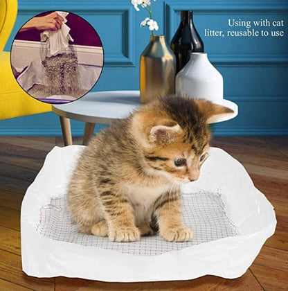 Odor Free Cat Litter Box Solution
