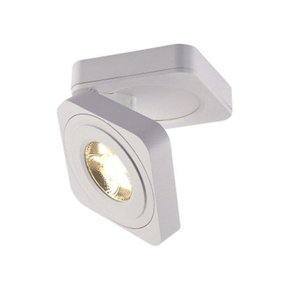 Modern Metal Ceiling Light Spot