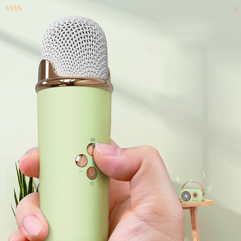 Portable Karaoke System & Wireless Bluetooth Speaker