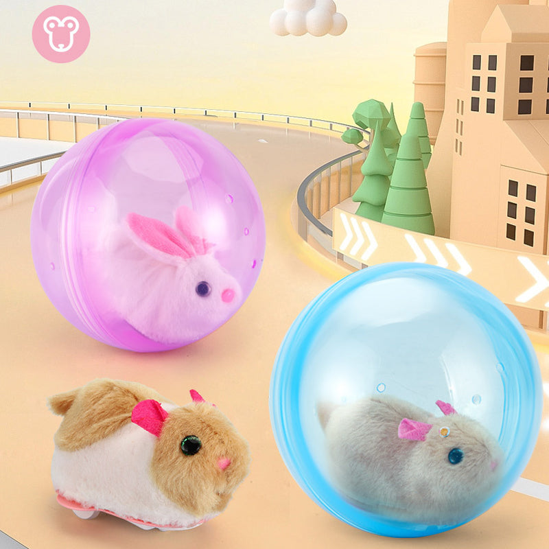 Fun Pet Exercise Ball Toy