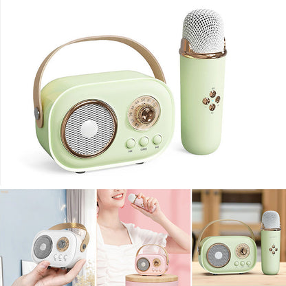 Portable Karaoke System & Wireless Bluetooth Speaker