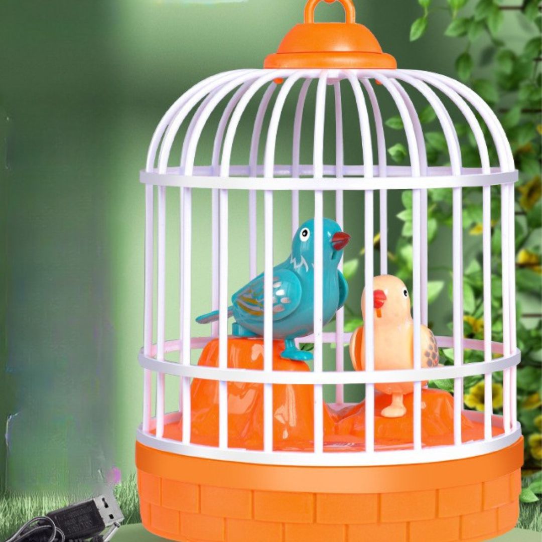 Colorful Singing Birds Kids Playset Toy