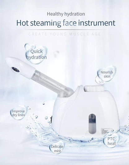 Portable Home Facial Steam Humidifier Mist Spa