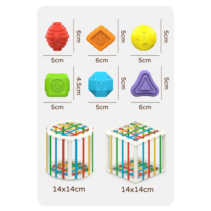 Educational Wooden Shape Sorting Block Toy