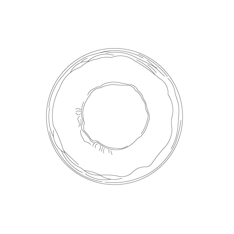 Minimalist Round Glass Wall Light