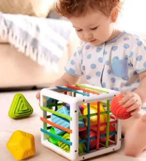 Educational Wooden Shape Sorting Block Toy