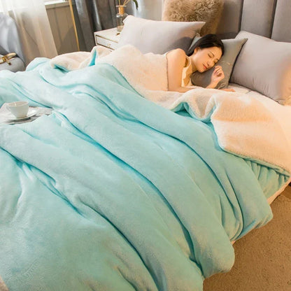 Soft Plush Reversible Winter Blanket