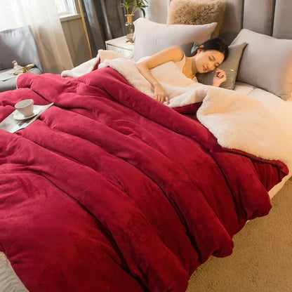 Soft Plush Reversible Winter Blanket