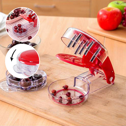 Easy Cherry Stone Remover Tool