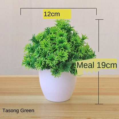 Mini Indoor Bonsai Tree Planters