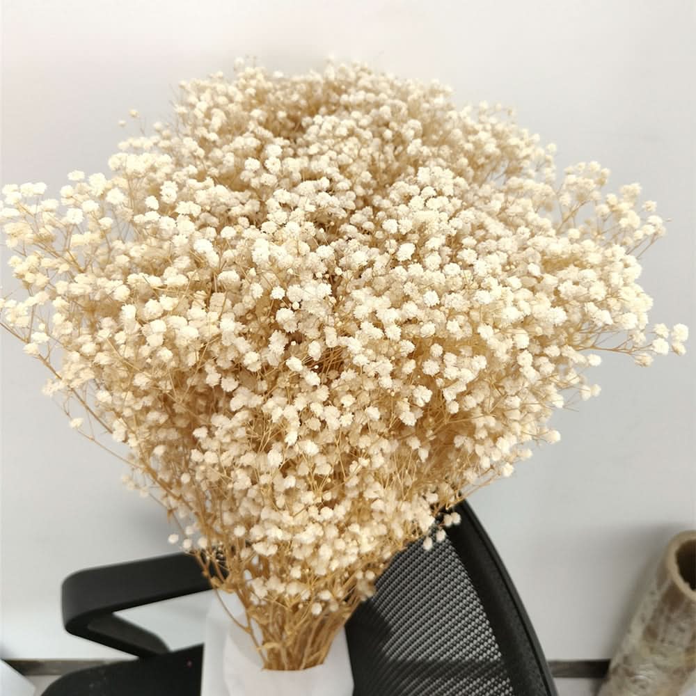 Realistic Air Dried Baby Breath Floral Arrangement - Yeezlab