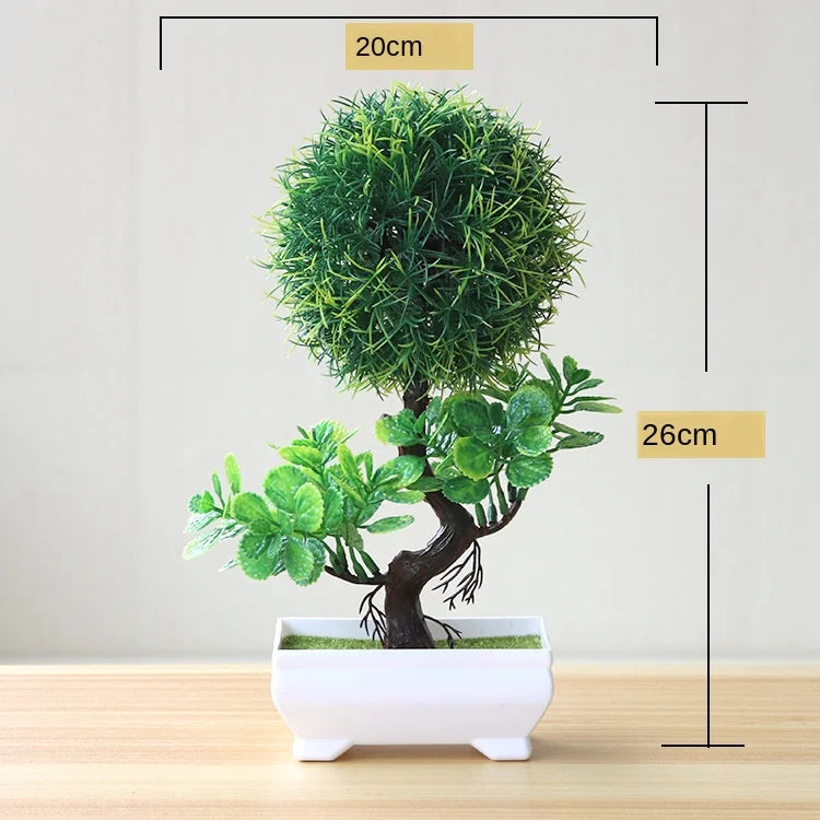 Mini Indoor Bonsai Tree Planters