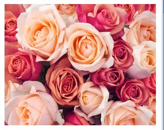Colorful Flower Art Painting Kit