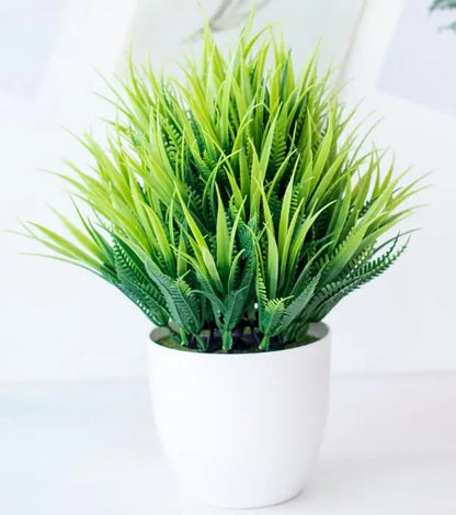 Mini Indoor Bonsai Tree Planters