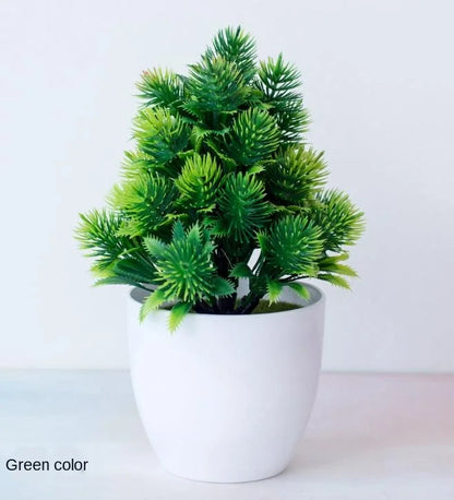 Mini Indoor Bonsai Tree Planters