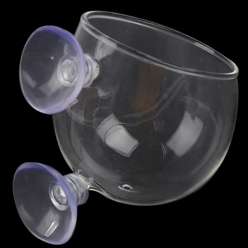 Unique Home Aquarium Glass Fish Tank Vase