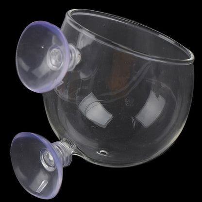 Unique Home Aquarium Glass Fish Tank Vase